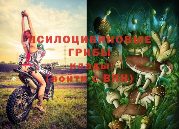 mdpv Алзамай