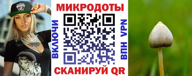 Галлюциногенные грибы Psilocybe  закладка  Оса 